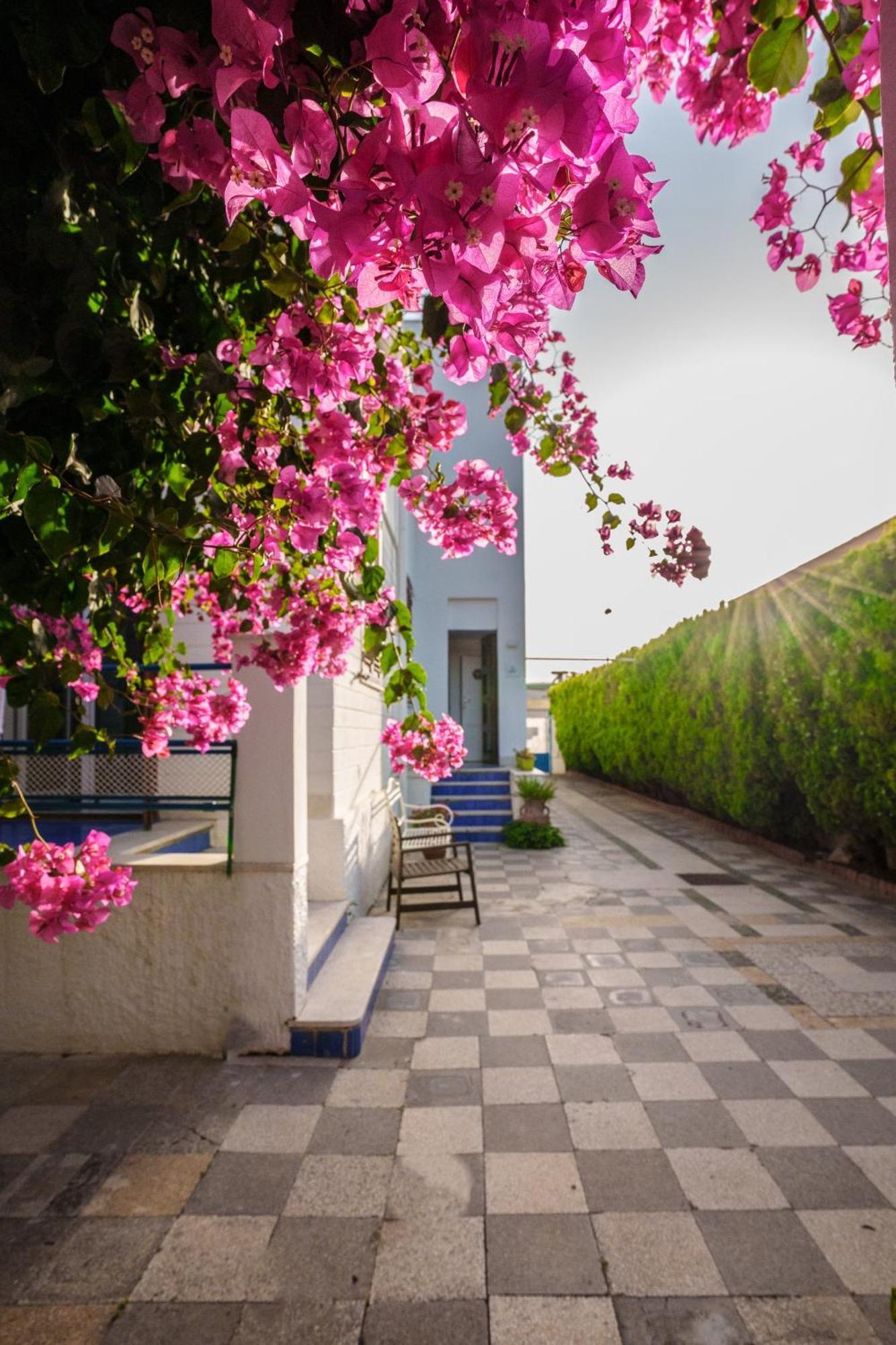 Le Vele Mondello, Villa A Due Passi Dal Mare מראה חיצוני תמונה